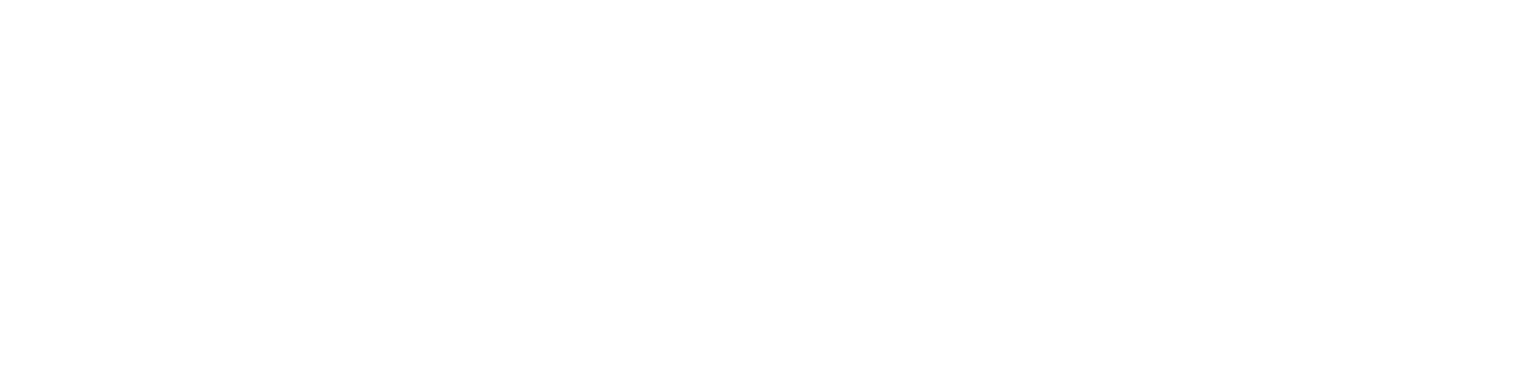 Entel