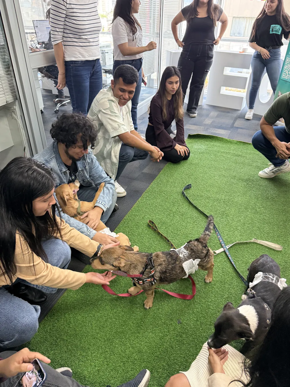 Equipo NEO en oficina